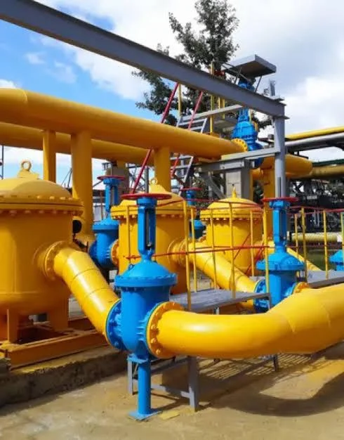 Fabrication, Supply, And Installation of LPG Gas Pipeline For Guala Closure Plant 01